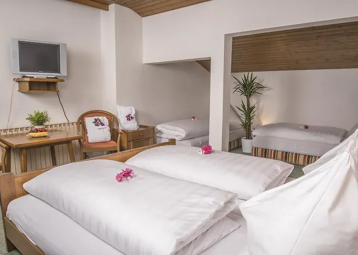 太阳酒店 瓦格赖恩