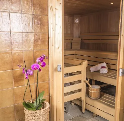 太阳酒店 3* 瓦格赖恩