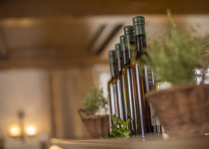 太阳酒店 3* 瓦格赖恩