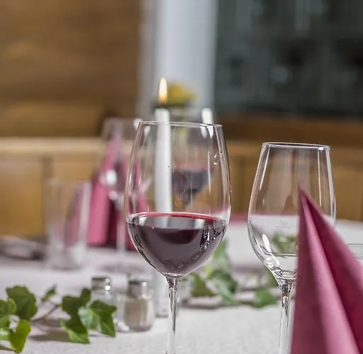 酒店 太阳酒店 瓦格赖恩