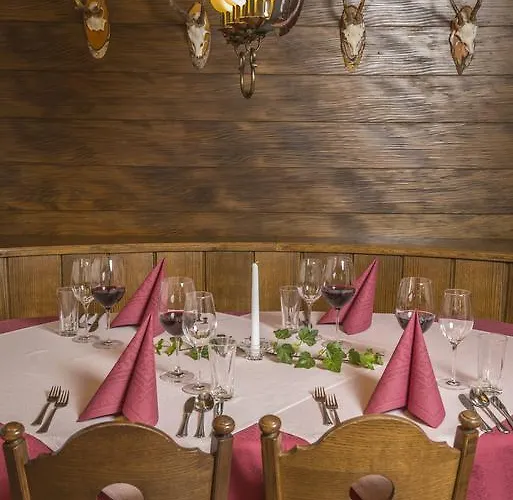 太阳酒店 酒店 瓦格赖恩